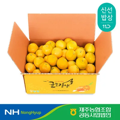 귤로장생 하우스감귤 4.5kg 로얄과 (2S-M)