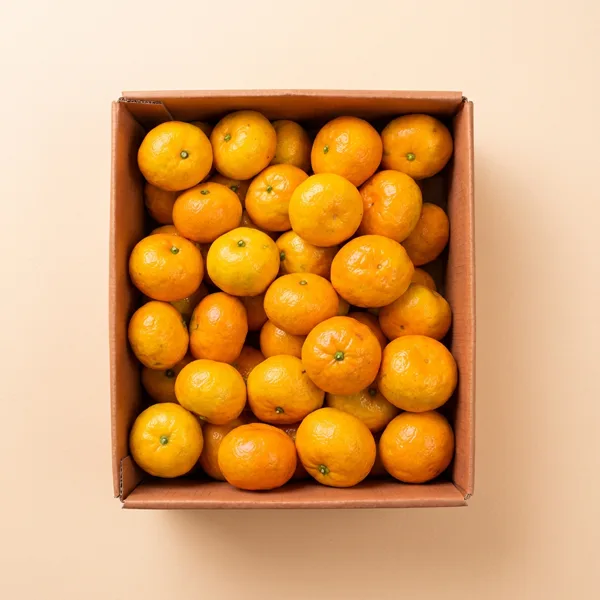 제주 타이벡 감귤, 중대, 3kg, 1박스