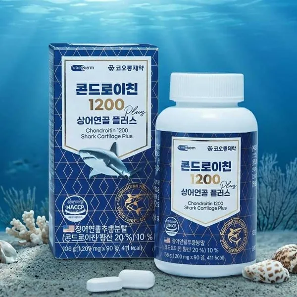 코오롱제약 콘드로이친 1200 상어연골플러스, 1200mg, 90정, 2개