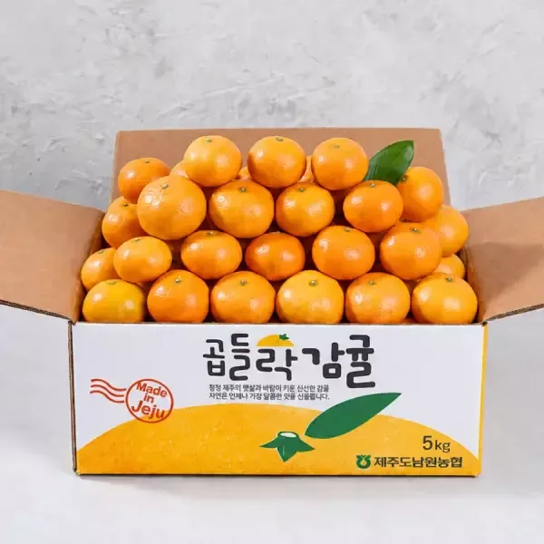 제주남원농협 노지 감귤 4.5kg 소과
