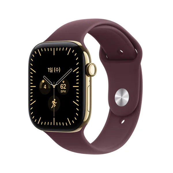 공식 애플워치 12 셀룰러 46mm 래디언트 골드 티타늄, 버건디 스포츠 밴드 (S/M) MJGR4KH/A