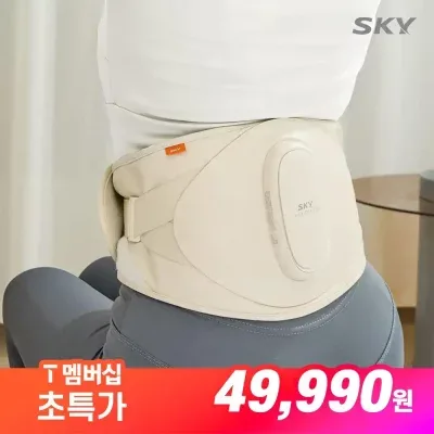 스카이 플래티넘 공기압 온열 진동 허리 복부 마사지기
