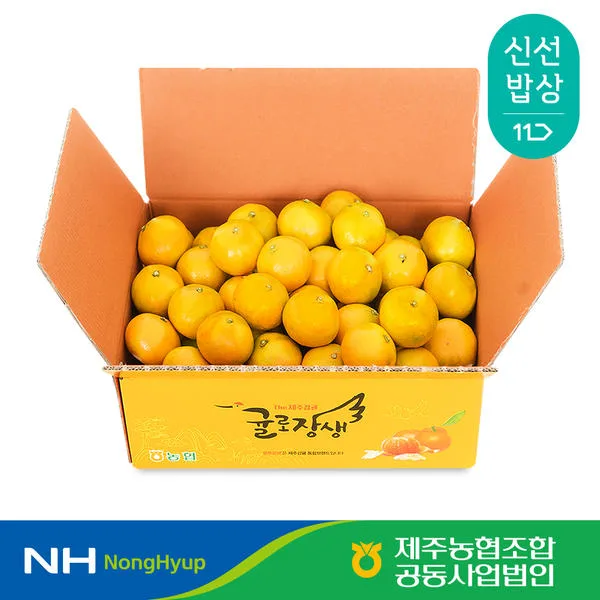 제주농협 귤로장생 하우스감귤 2.5kg 소과